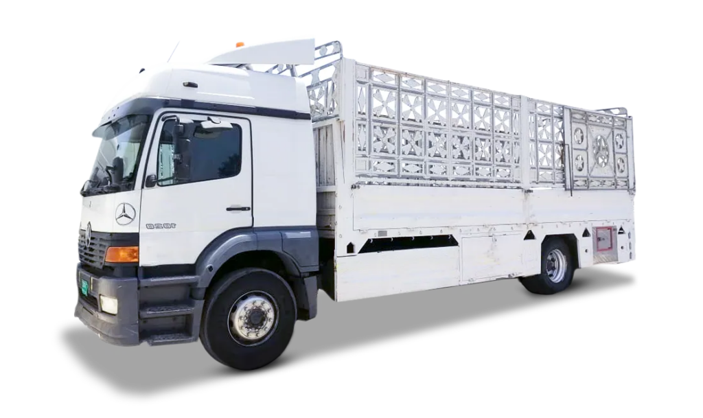10 ton